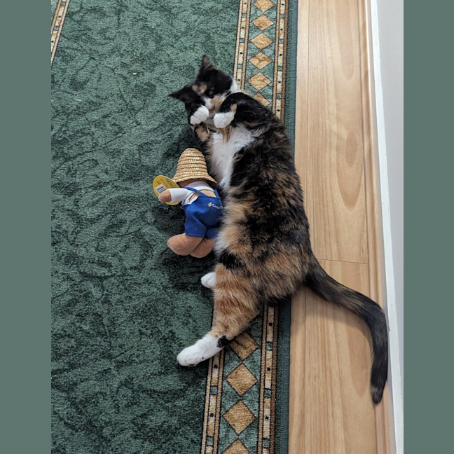 Photo of Tully
