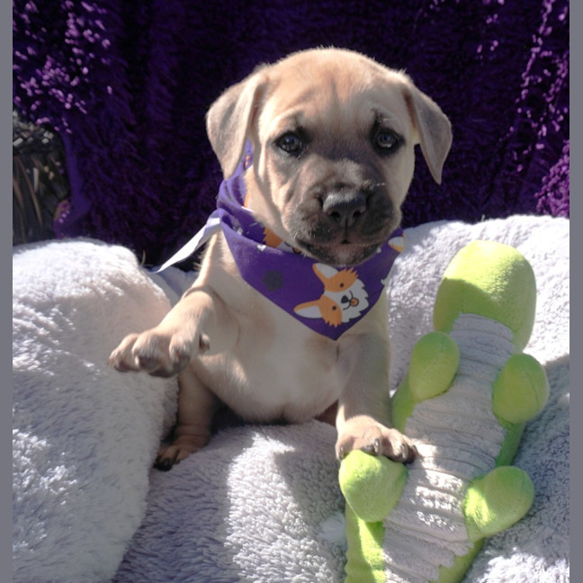 Photo of Vinnie