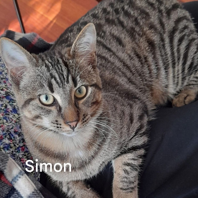 Photo of Simon