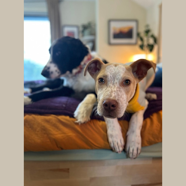 Photo of Sam