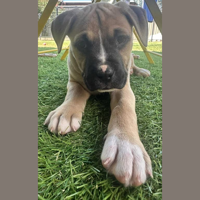 Photo of Lenny