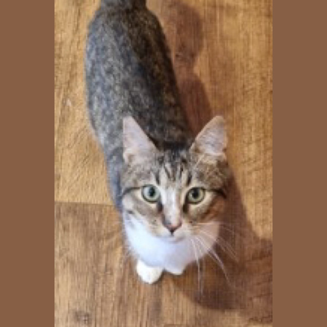 Photo of Judy