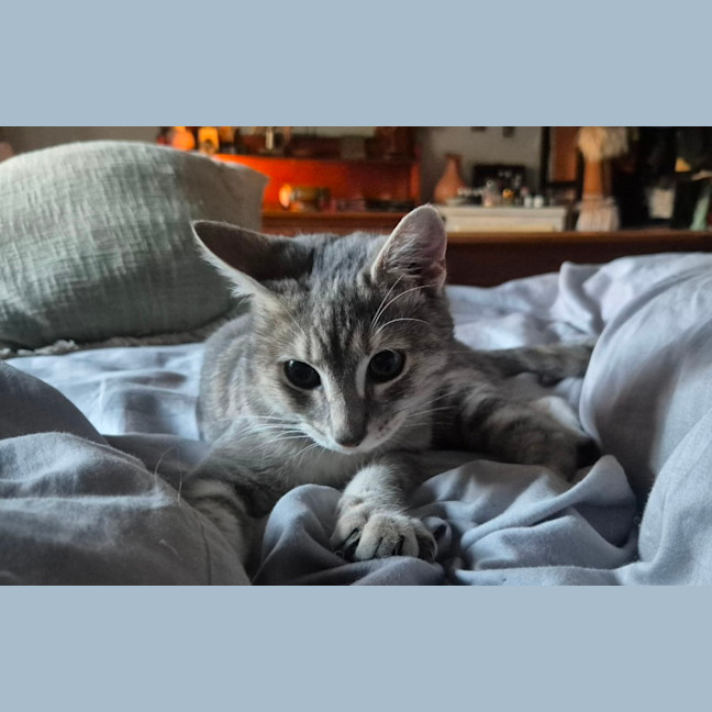 Photo of Rain (8959)