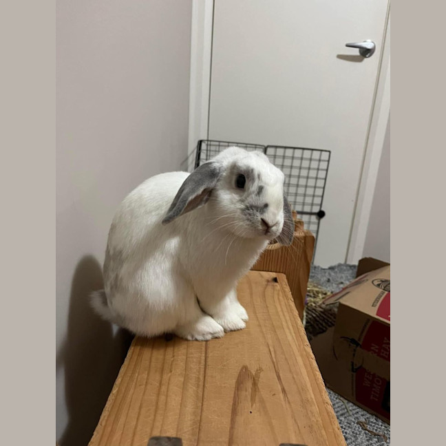 Photo of Amira And Timmy