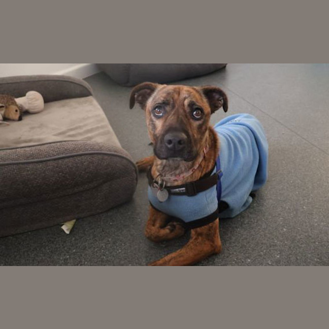 Photo of Jazz