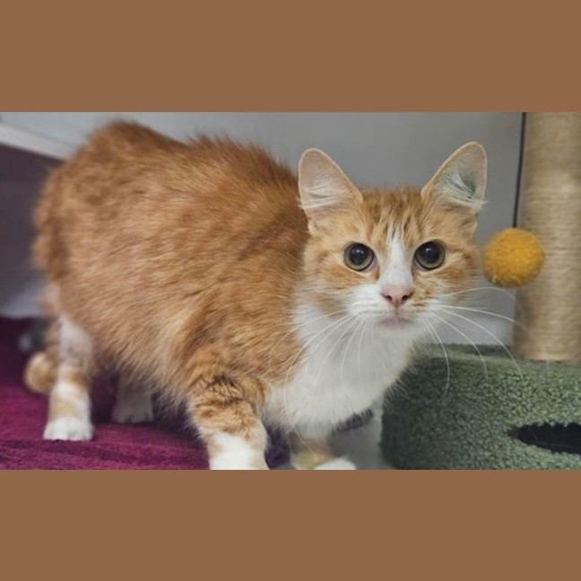 Photo of Endora