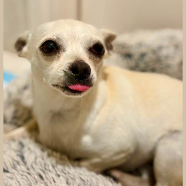 Photo of Mickey & Minnie