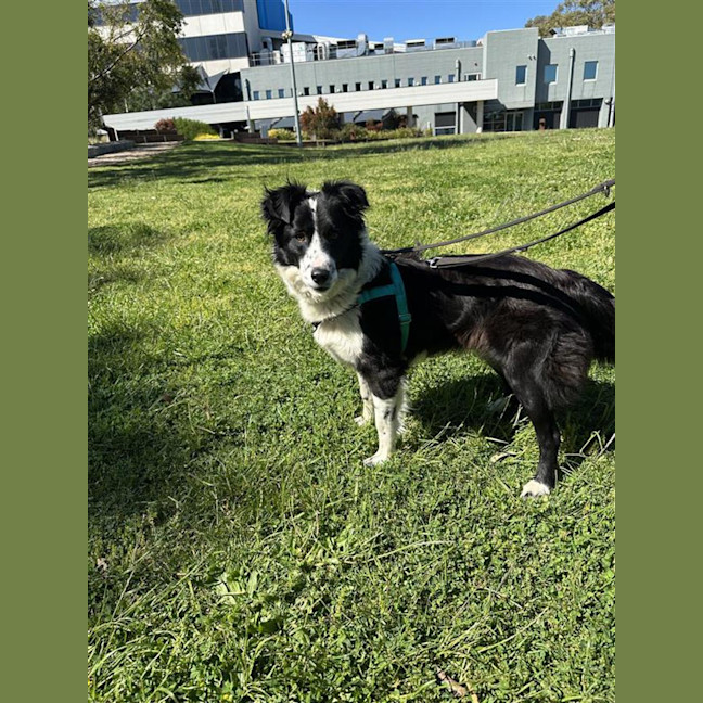 Photo of Tilly