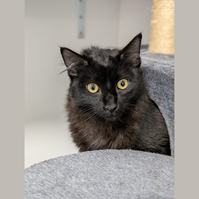 Photo of Luna And Max