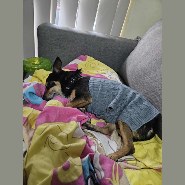 Photo of Charlie