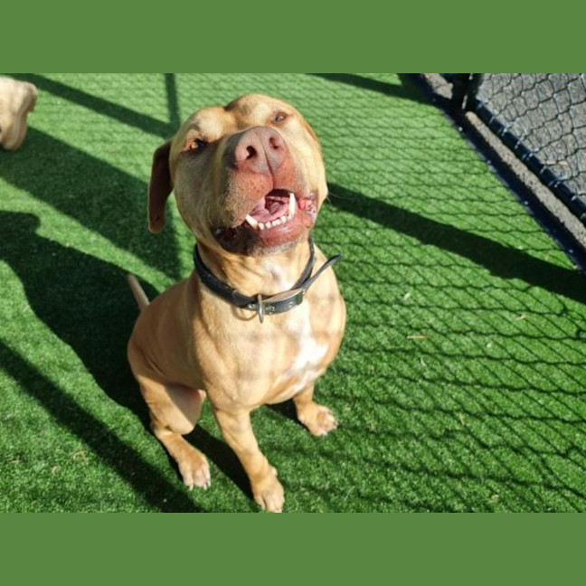 Photo of Doug Imp 1260