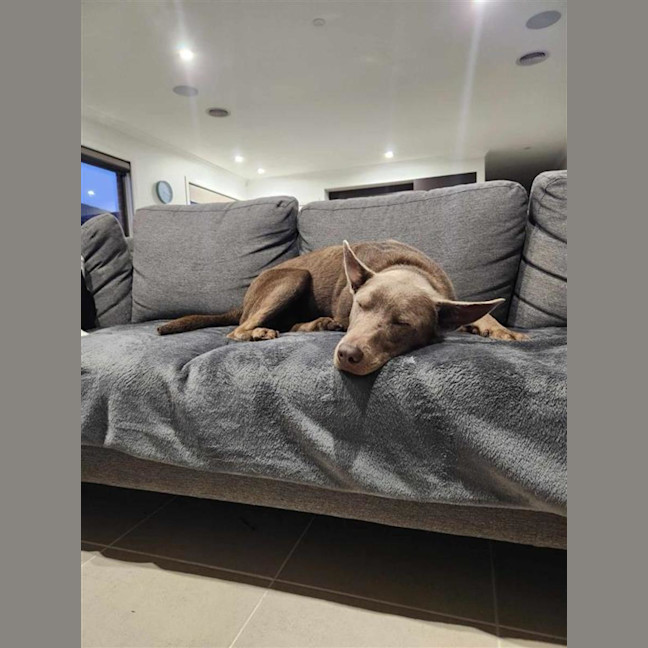 Photo of Stormy 