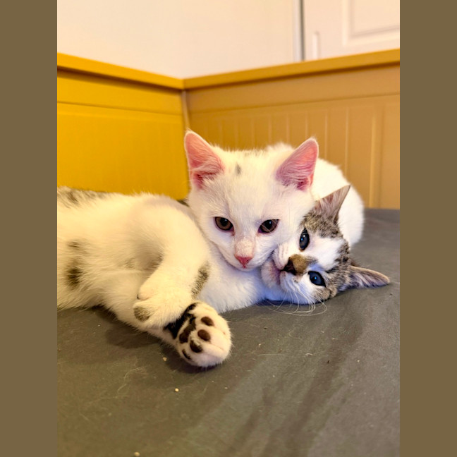 Photo of Evacuation Plan