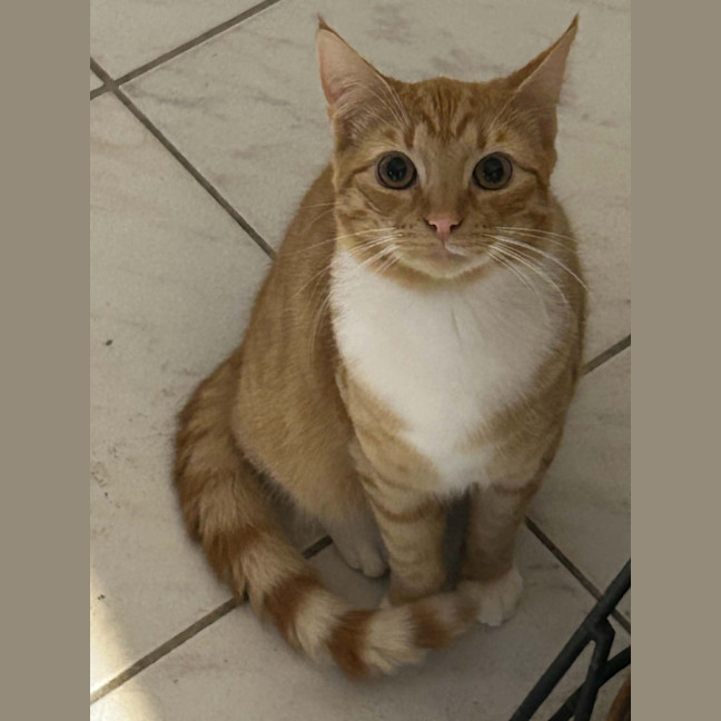 Photo of Eddie