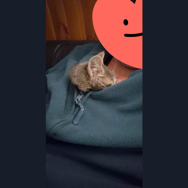 Photo of Timmy