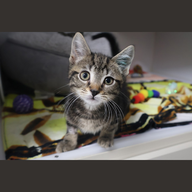 Photo of Bubble