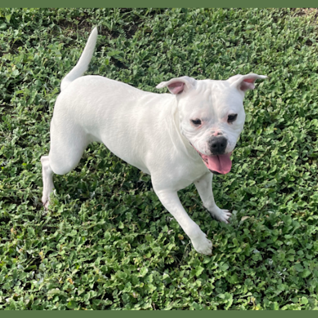 Photo of Tilly