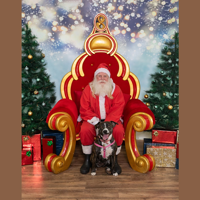 Photo of Darcee Cameron