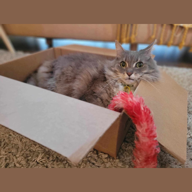 Photo of Klaus