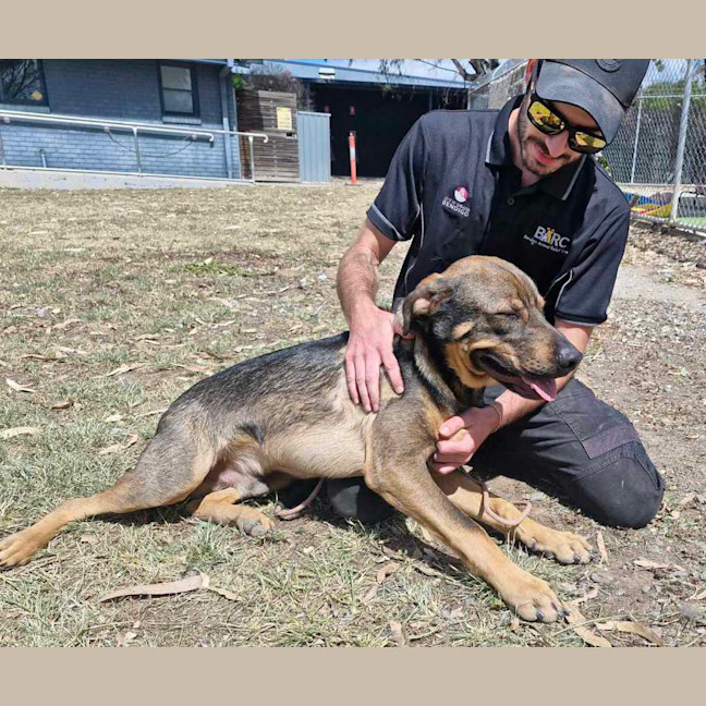 Photo of Buster (Boss)