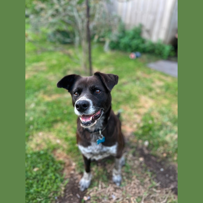 Photo of Toots