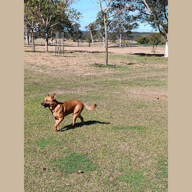 Photo of Red 