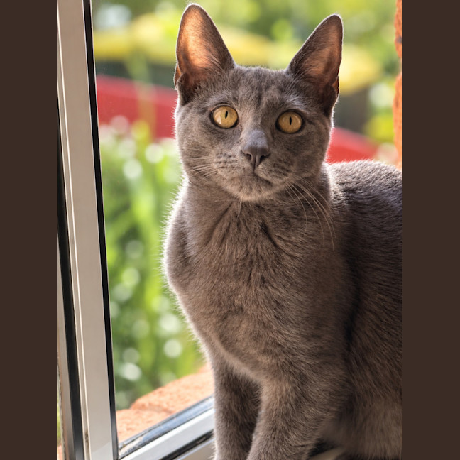 Photo of Tony