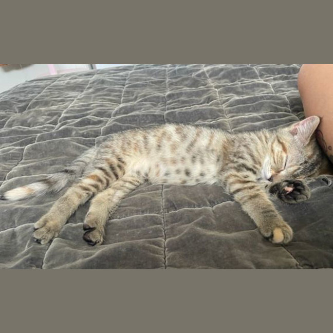Photo of Big Sister