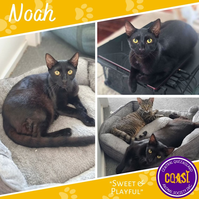 Photo of Noah