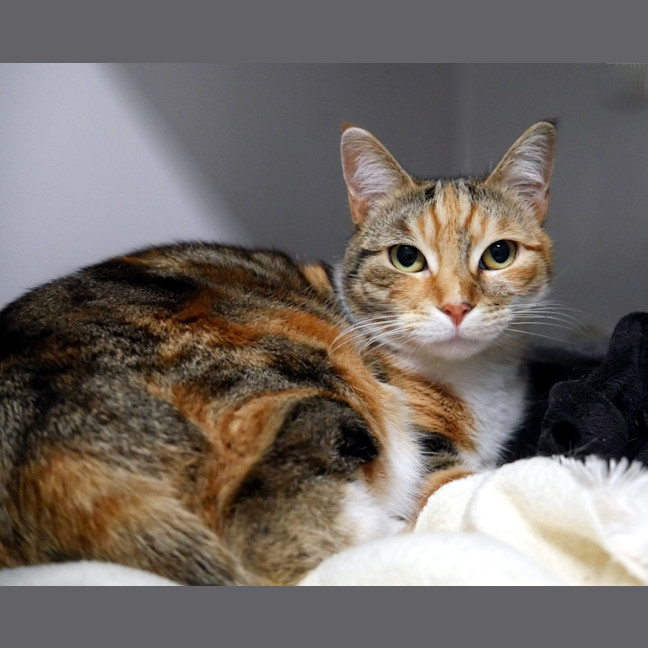 Photo of Milly Rsta014294