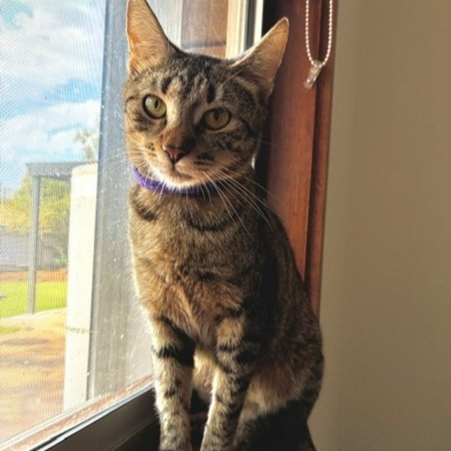 Photo of Kiara