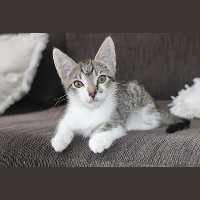 Photo of Kira