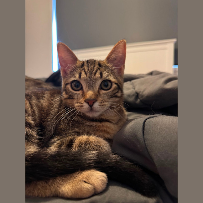 Photo of Hope
