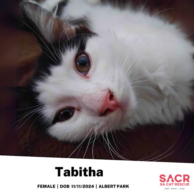 Photo of Tabitha