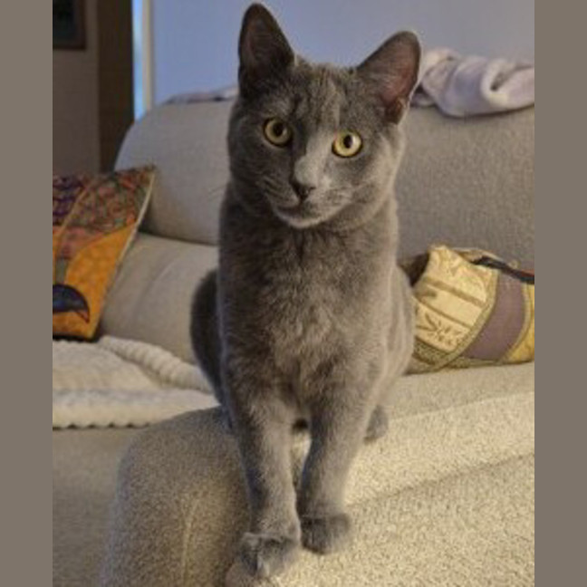 Photo of Blue