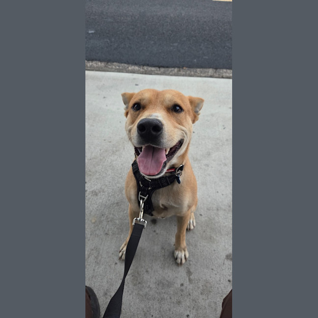 Photo of Thor