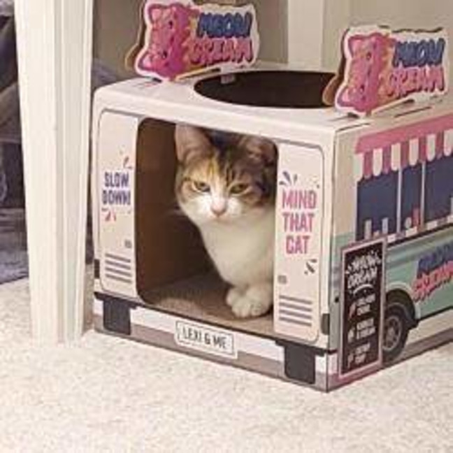 Photo of Princess