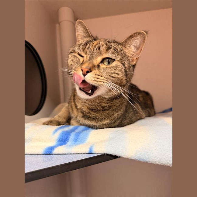 Photo of Thelma