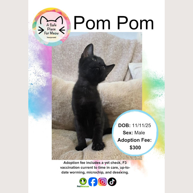 Photo of Pom Pom