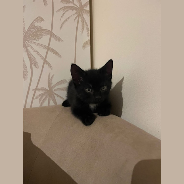 Photo of Johnny Walker