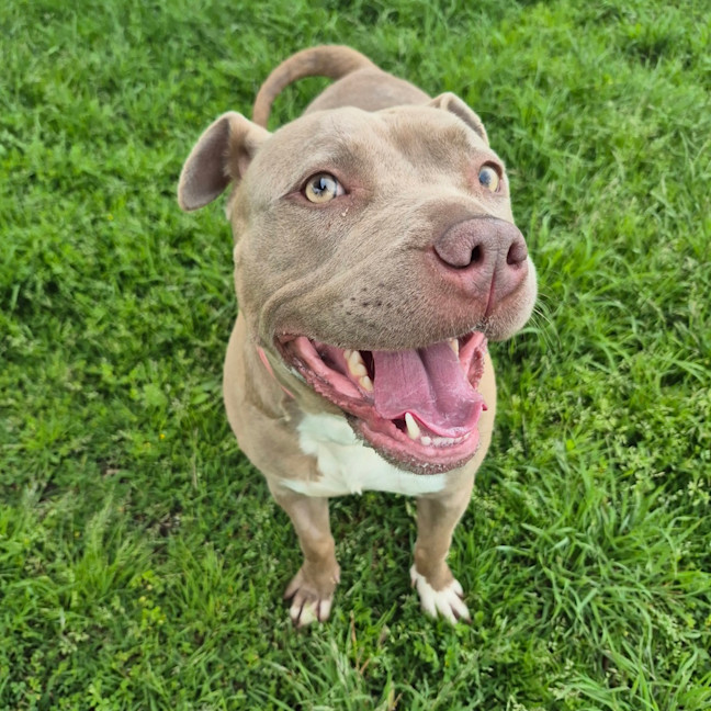 Photo of Luna