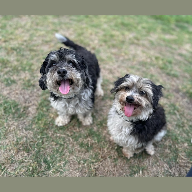 Photo of Libby & Jack