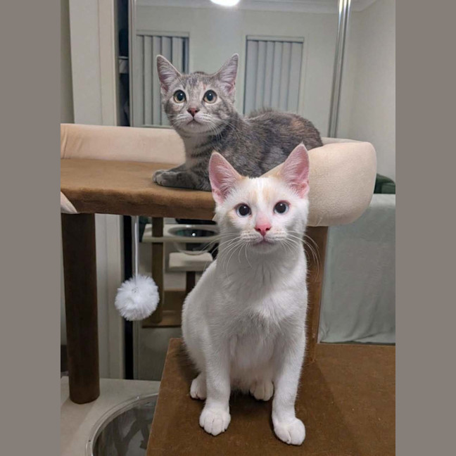 Photo of Barney And April 