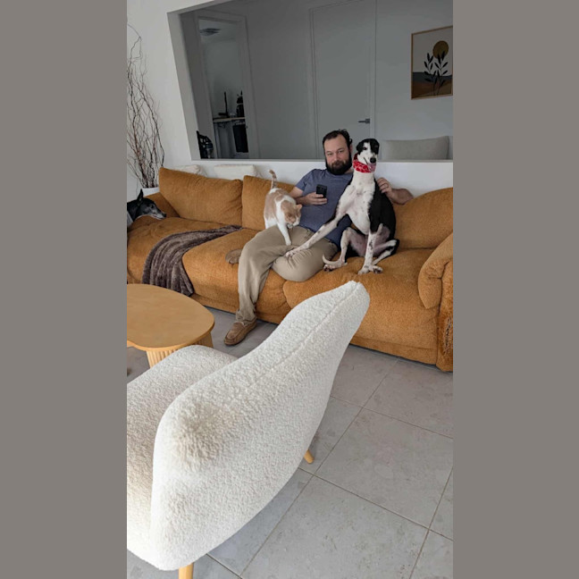 Photo of Betsy, The Cat Friendly Greyhound