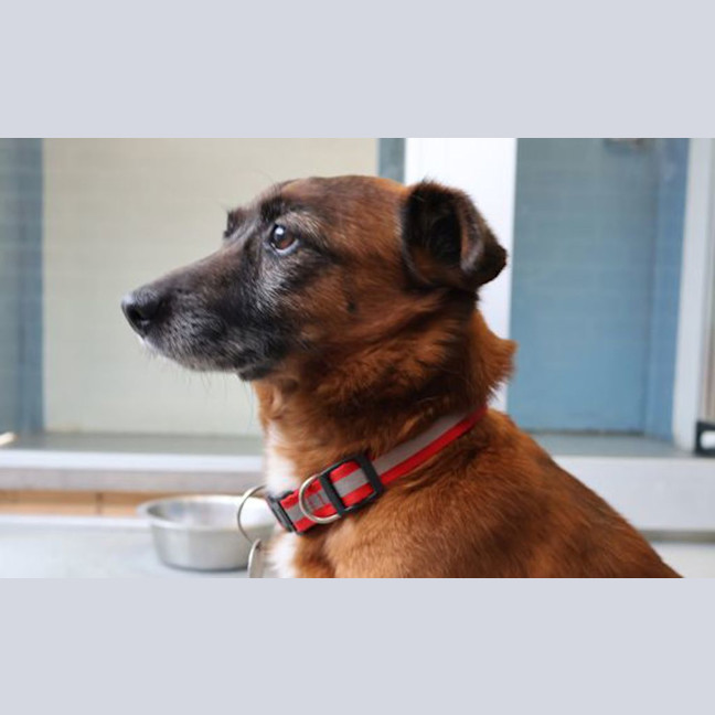 Photo of Klaus