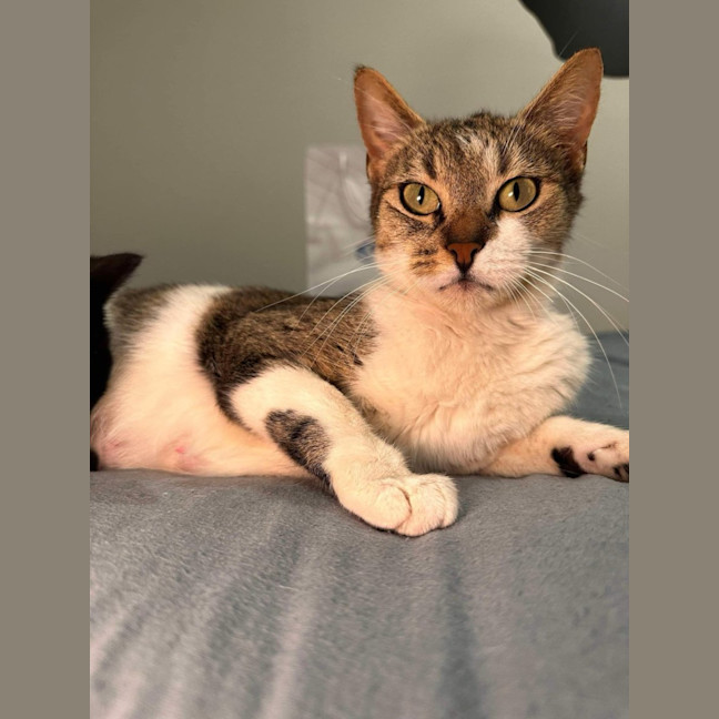 Photo of Ally Mc Beal