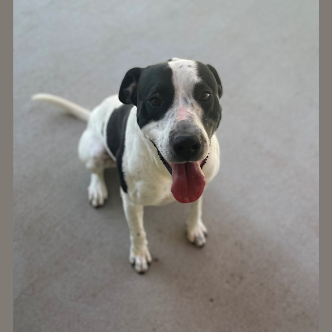 Photo of Bingo (4471)