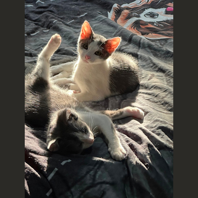 Photo of Amelia 🌺🦋