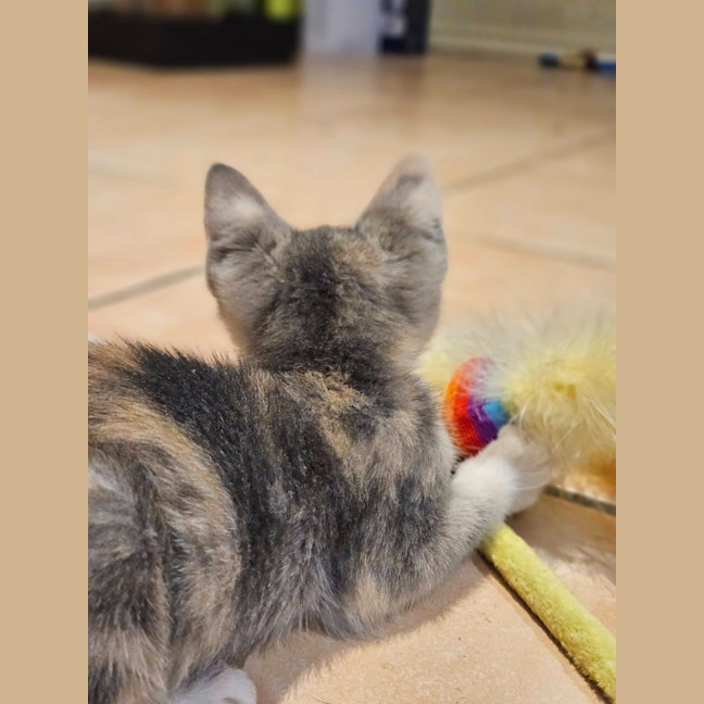 Photo of Isla