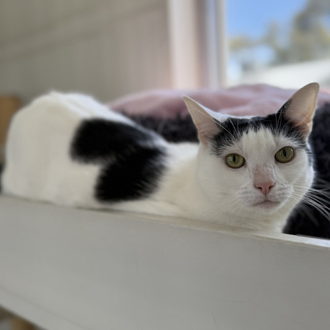 Photo of Mandy & Molly